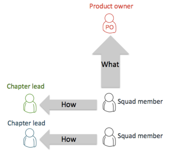 Matrix model showing differences between horizontal and vertical roles